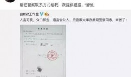 王力宏爆料爸爸视频播放,爸爸视频幕后故事